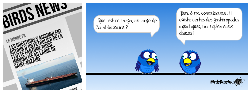 Une coquille... typographique ?