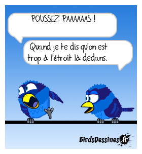 La crise du logement ?