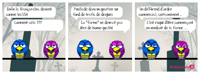 NICE, sa baie des anges, sa salade ...