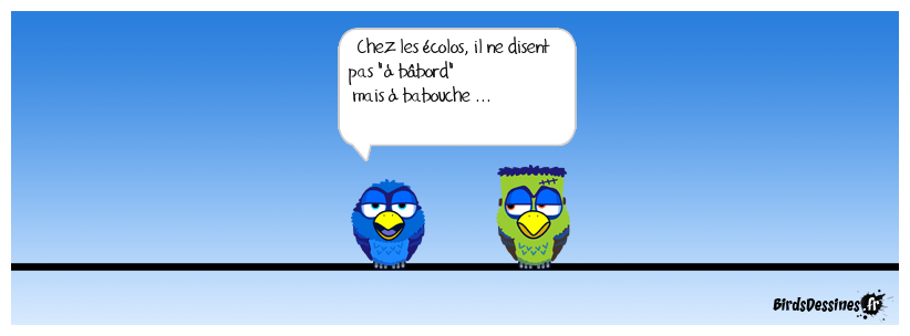 La Babouche et le petit pied noir