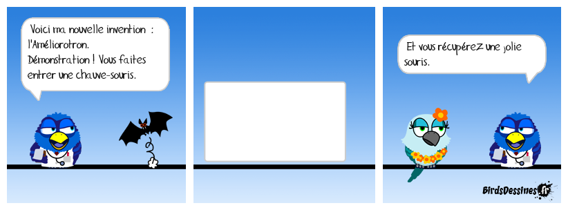Le bird inventeur : test sur les souris