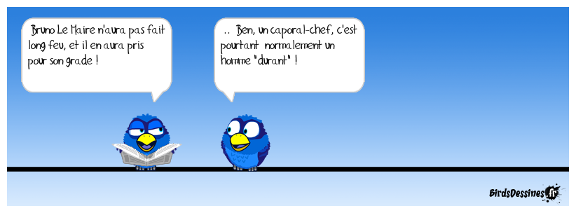 Il a dû vouloir dire 