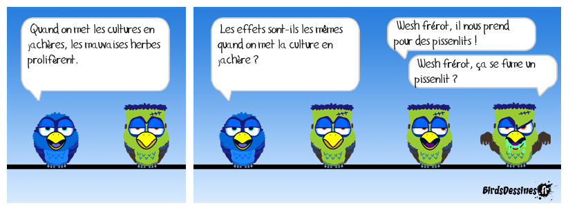 une question me turlupine ...