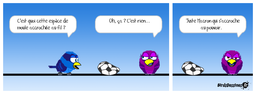 Sans commentaire. Grande marée