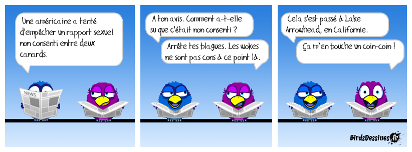 Daffy Duck n’a plus qu’à bien se tenir