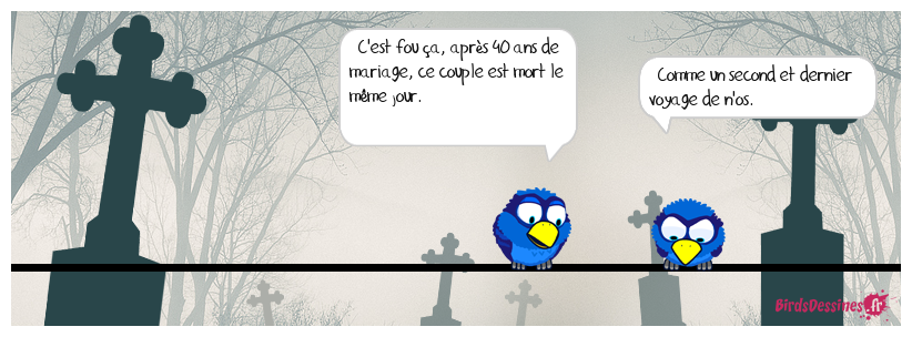 Pissenlit par la racine.