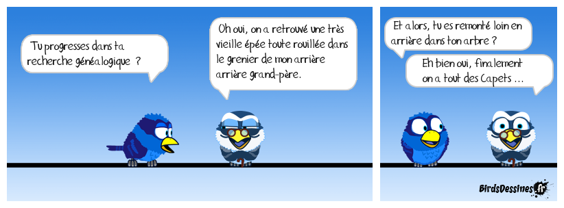 quand on aime les vieilles branches ...