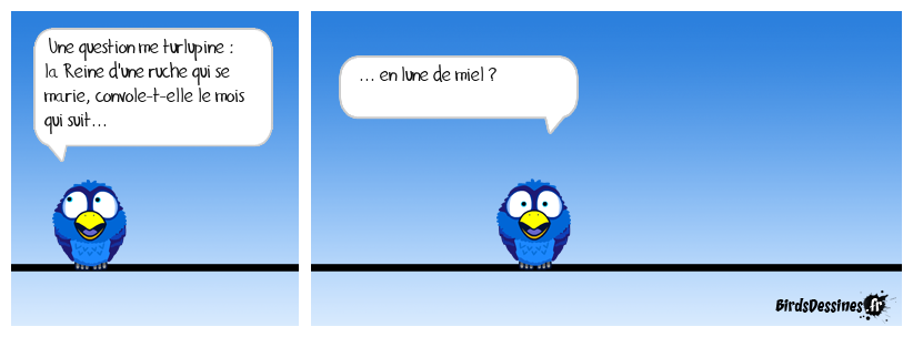 Petite connerie mielleuse 2.