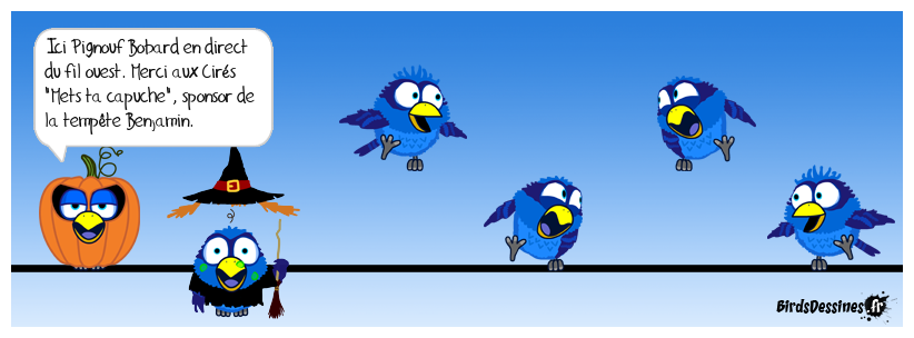 bfm : dans le vent ...