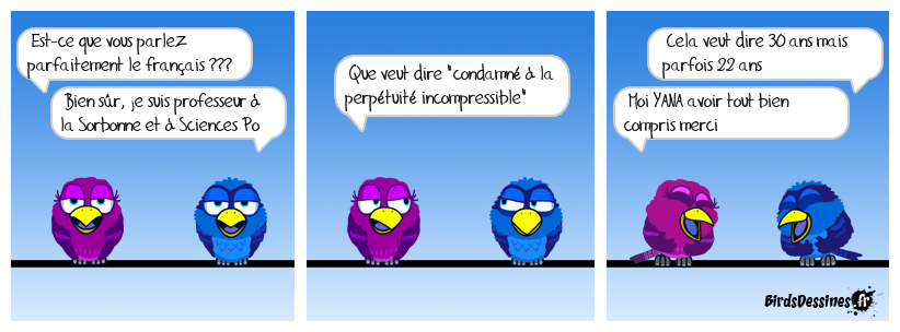 Le français devient plus facile en françarabia