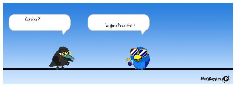 Pour les francophiles et la culture:<BR>
Combo : combinaison de plusieurs choses<BR>
Combaut, Combeau, Combo : patronyme qui désigne celui qui habite une combe Définition Titounesque