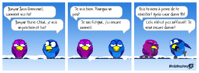 L'AMOUREUX DU SOMMEIL