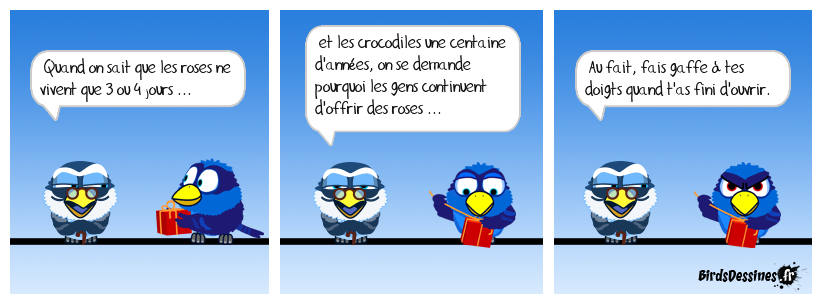 c'est caïman la même chose ...