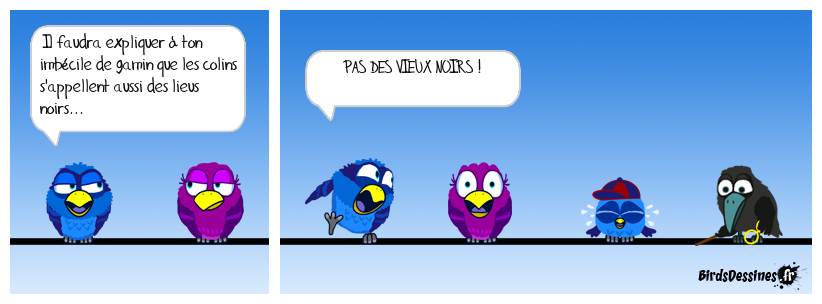 Ce gamin il nous ferait passer pour des racistes!