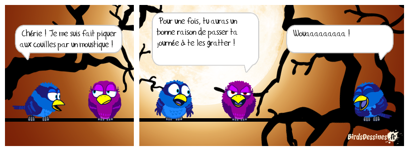 ☺ Réflexion de femme...03