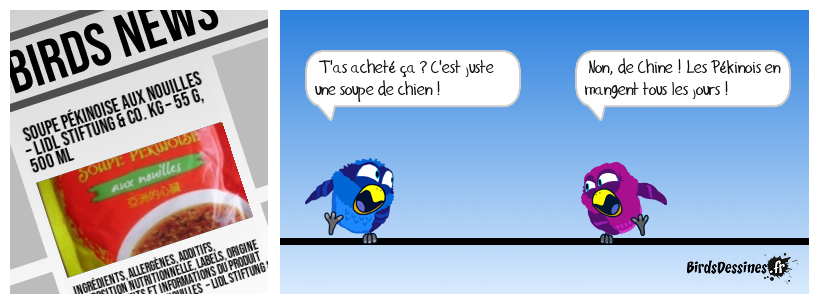 Des mots qui prêtent à confusion... Espèce de nouille !