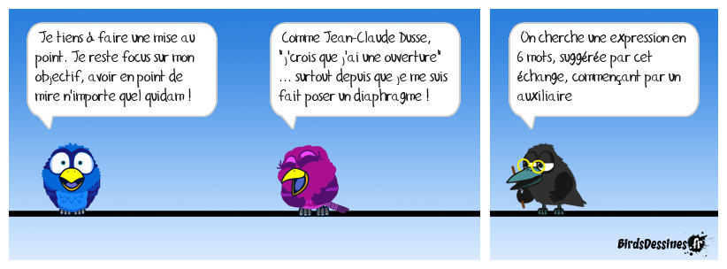 Verbidouillage n° 699 (expression française n° 404)