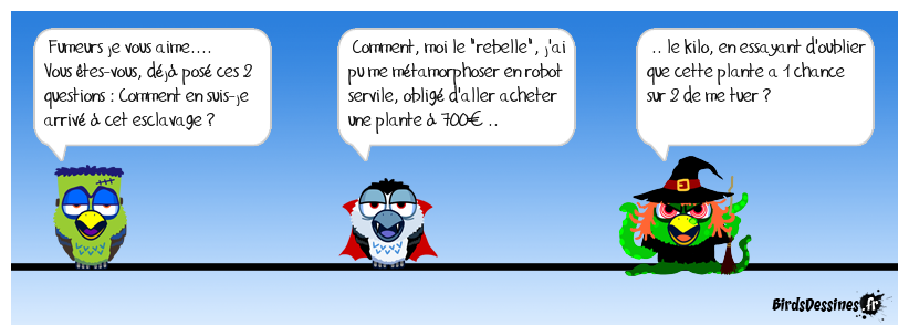 Novembre - mois sans tabac