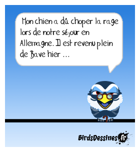 les boches d'une blague canine ...