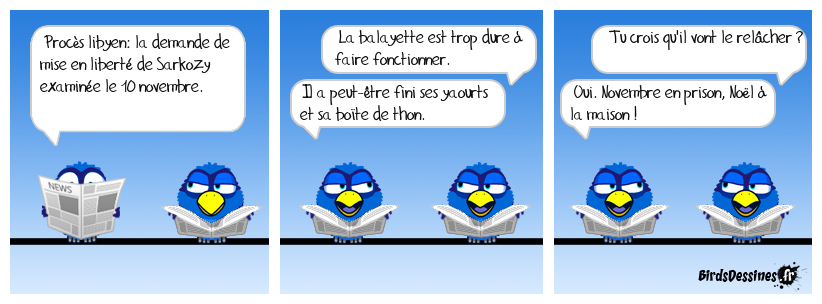 Pour Sarko, c'est bientôt la quille !