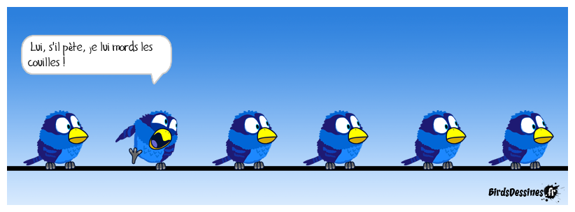 Une de mes BD "anciens birds" Vous êtes prévenus !