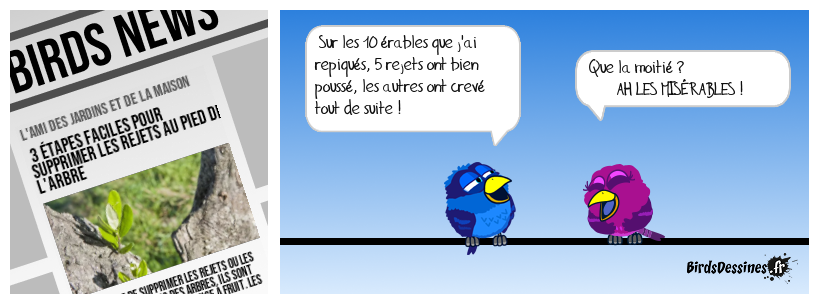 Il a dû faire la Cosette en repiquant avec la Fantine