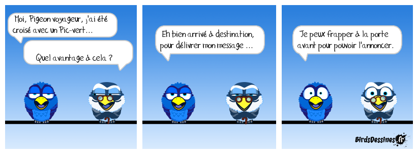 pigeons bien le message ..