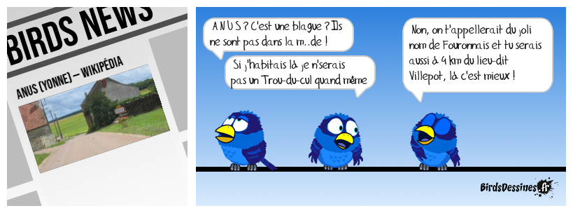 Ils mettent leur nez partout en Bourgogne Franche Comté !