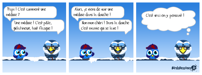 ☺ Aspect d'une méduse ☺☺