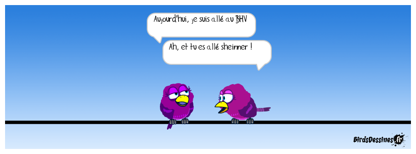 Sheinner ou déshinner