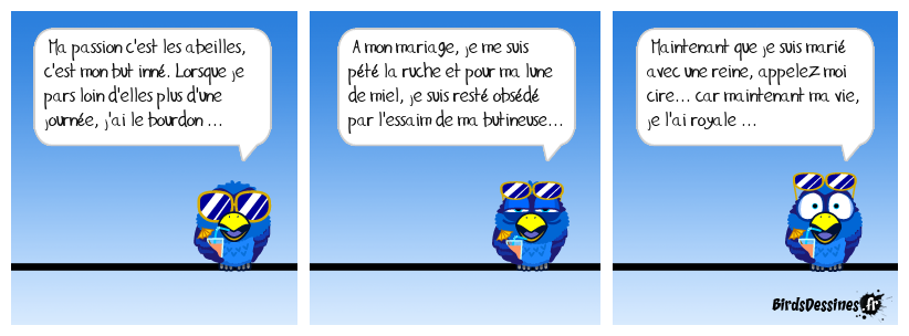 l'abeille et la bête ...