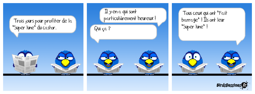 Ça valait le coup !