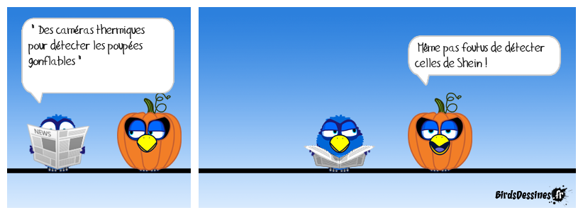 Voies de covoiturage: