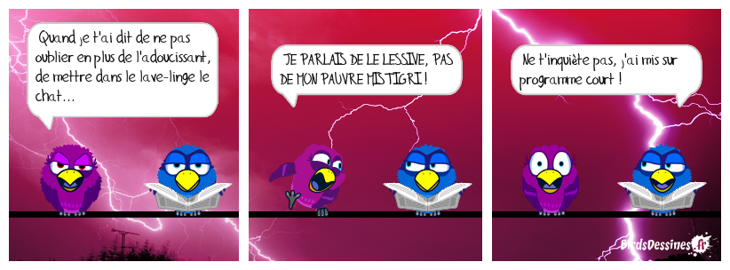 ☺ Jour de lessive ☺☺