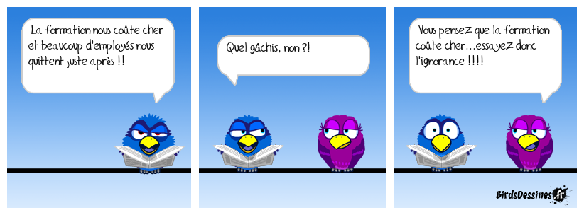 Coût de la formation