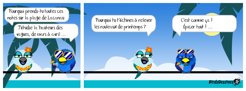 la hauteur des rouleaux, c'est vague ...