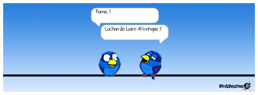 rien à voir avec les canaris