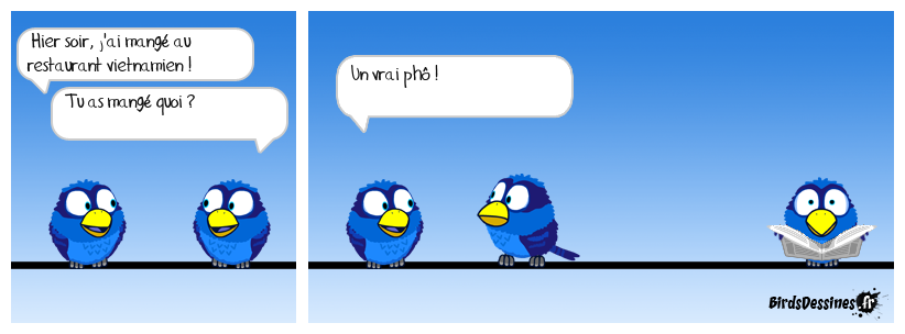 À n'y rien comprendre !