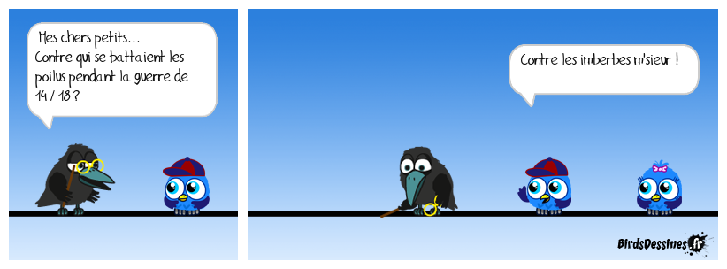 L'histoire de France au poil !