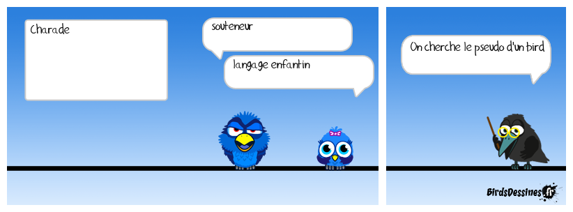 Drôle d'oiseau !  (11)