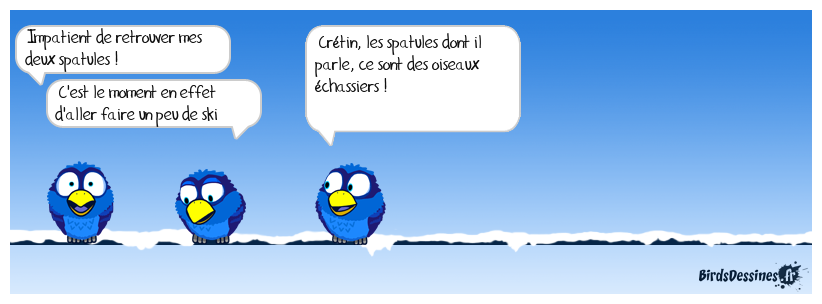 ... Sinon, il y a les skis 