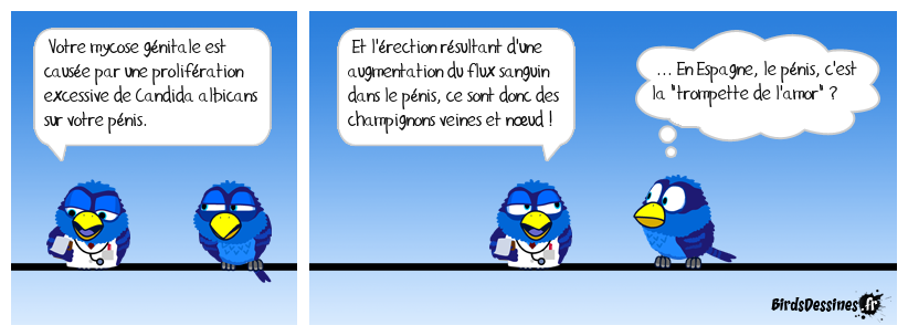 Le phallus impudicus est-il consommable, lui ?