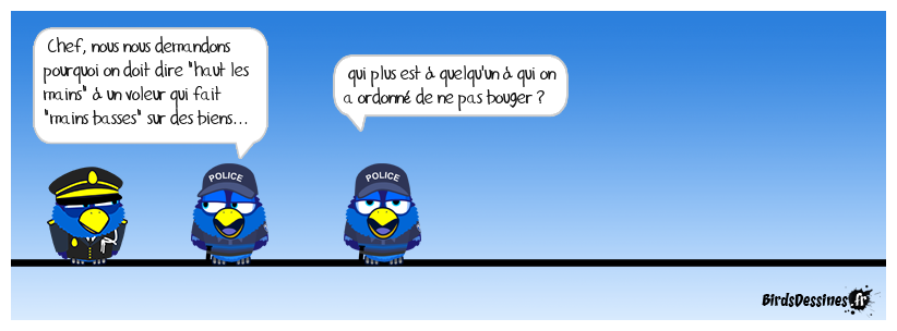 Une réflexion de haut vol !