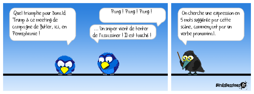 Verbidouillage n° 742 (expression française n° 445)