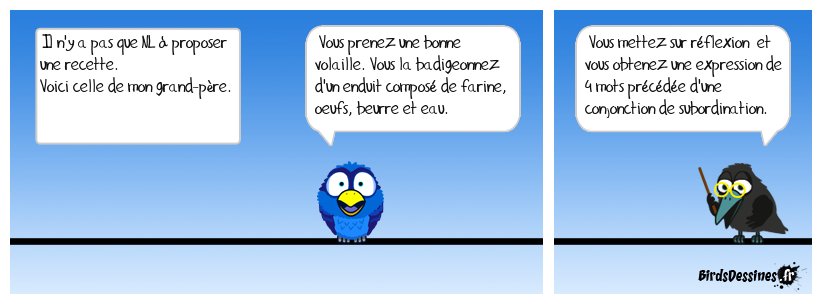 Poule au pot à l'italienne  (18)