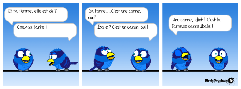 Bon, merci de la précision.