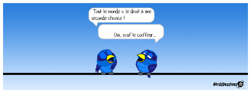 C’est ma femme qui me l’a dit !