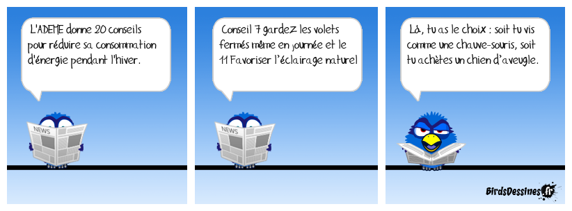 Conseils judicieux 7 et 11