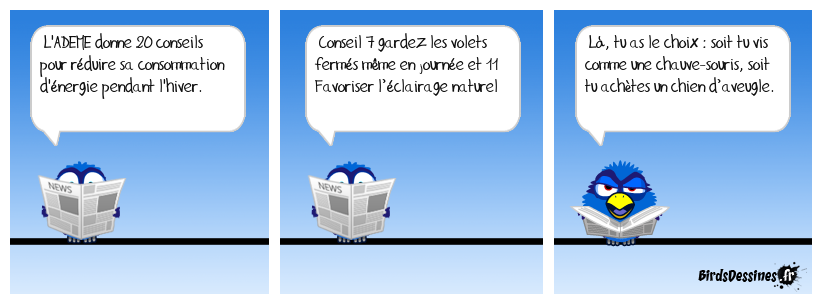 Conseils judicieux 7 et 11