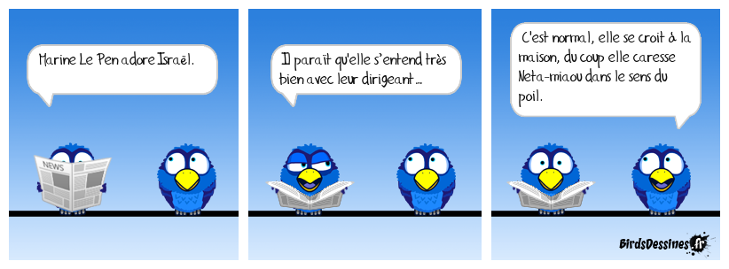 Le pouvoir des chats